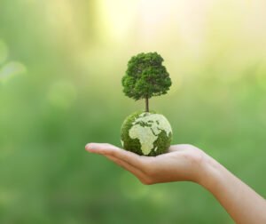 Día Mundial del Clima
