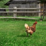 Actualización catastral en San Gil genera inquietud por impuesto predial rural