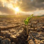 ahorro de energía por fenómeno de El Niño en Santander